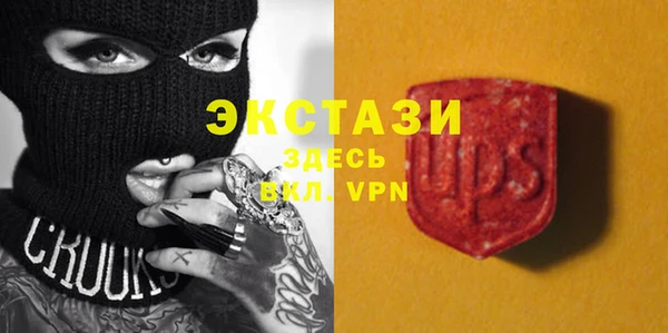 соль ск Краснослободск