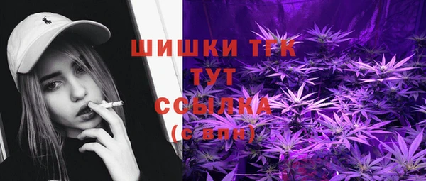 соль ск Краснослободск
