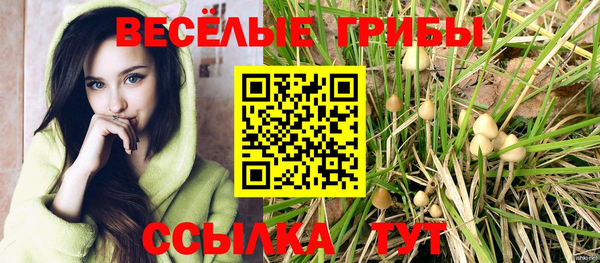 Галлюциногенные грибы ЛСД  Вход с VPN  Северск  Галлюциногенные грибы GOLDEN TEACHER 